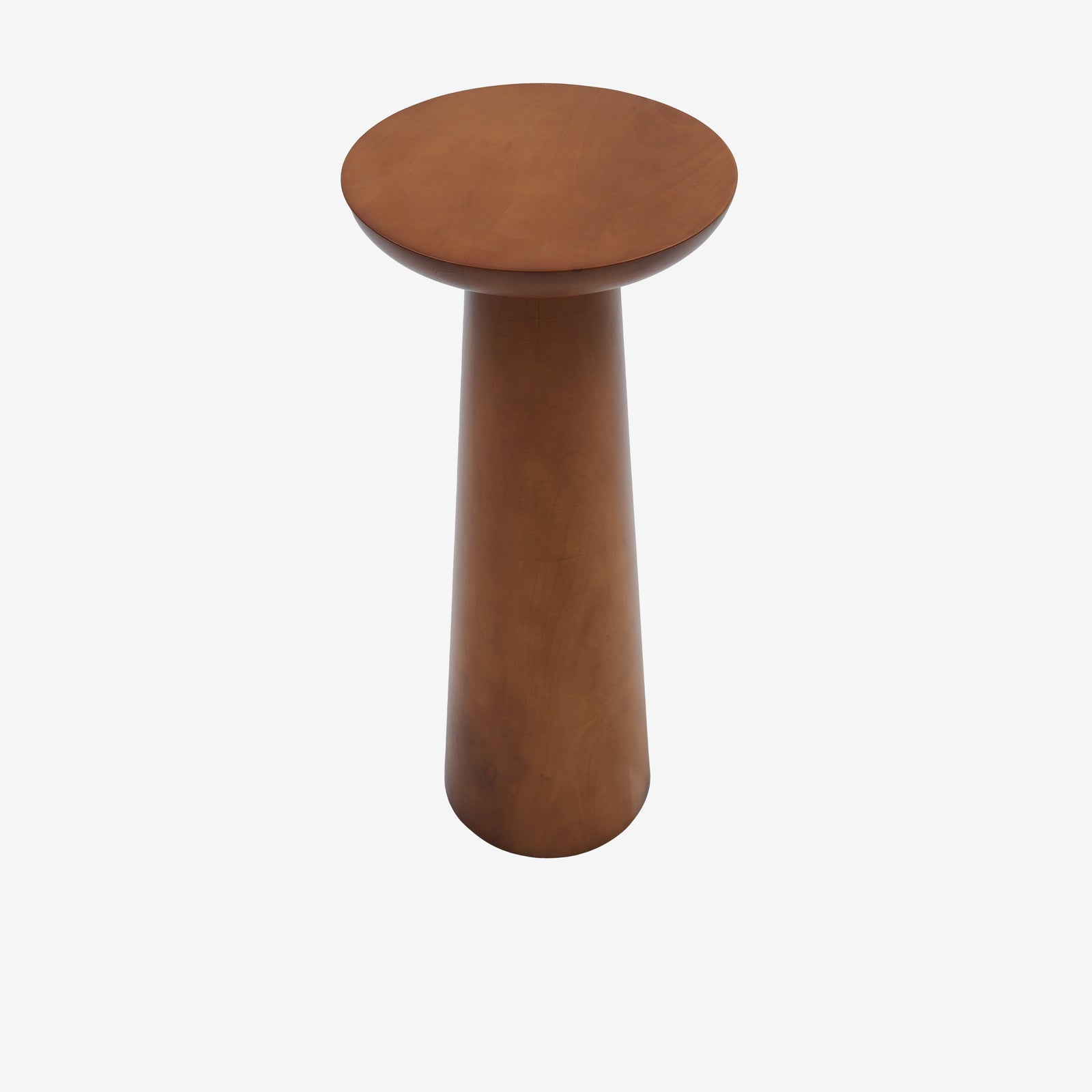 Mushroom 1 ceviz 01