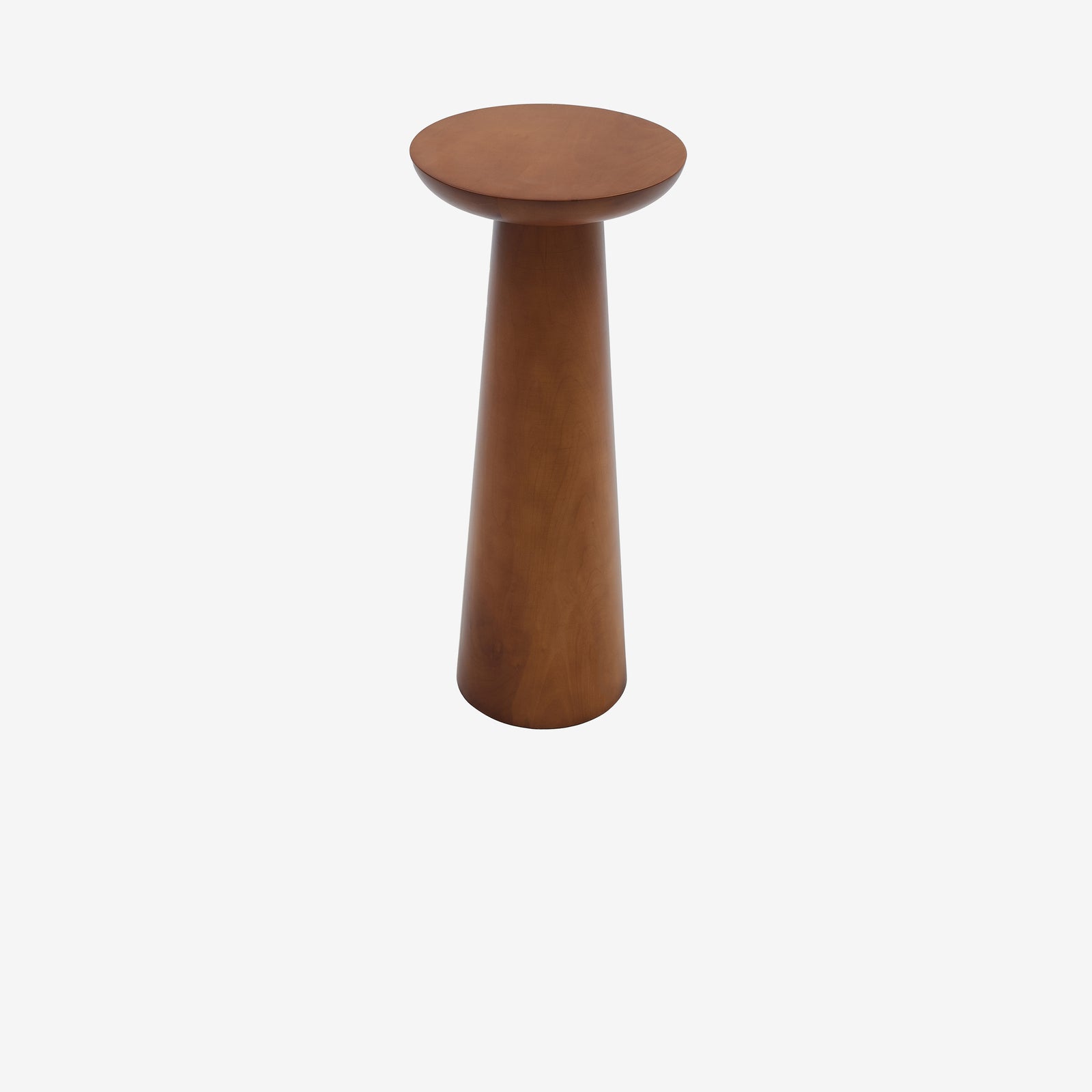 Mushroom 1 ceviz 02