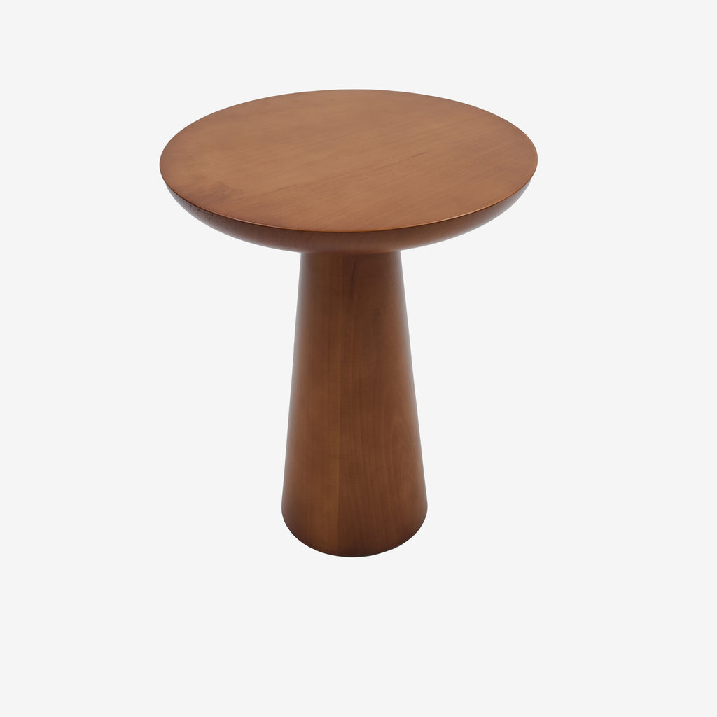 Mushroom 2 ceviz 01