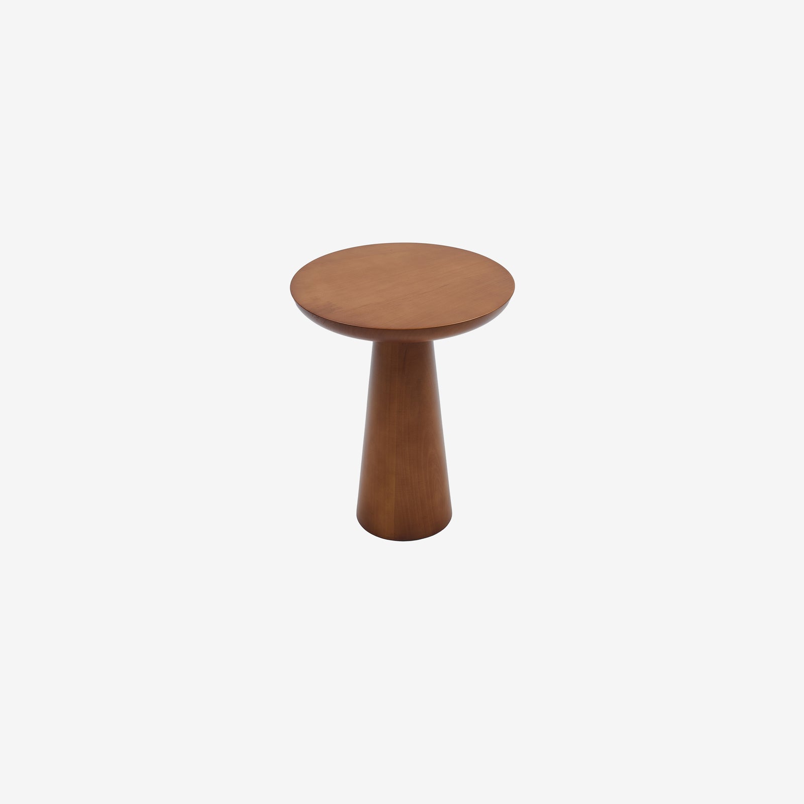 Mushroom 2 ceviz 02