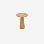 Mushroom 2 doğal 02