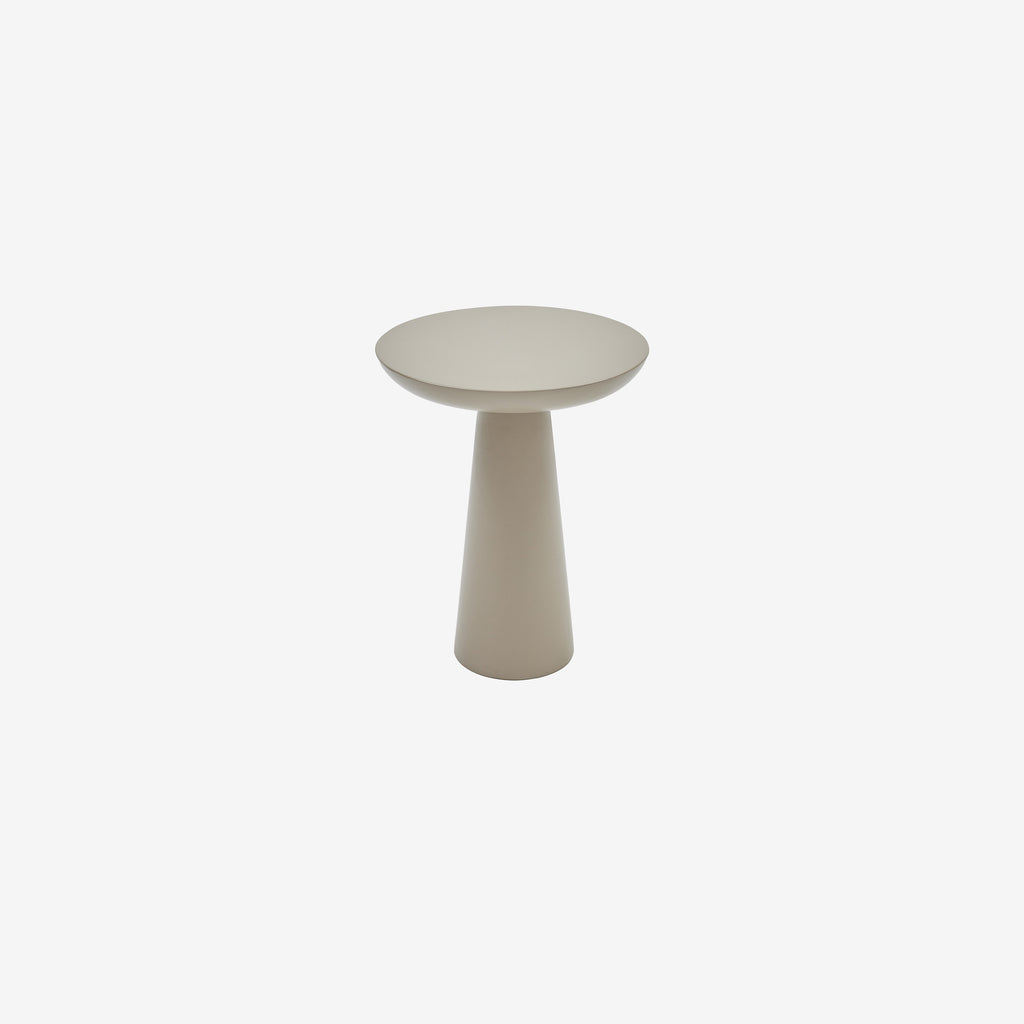 Mushroom 2 vizon 02