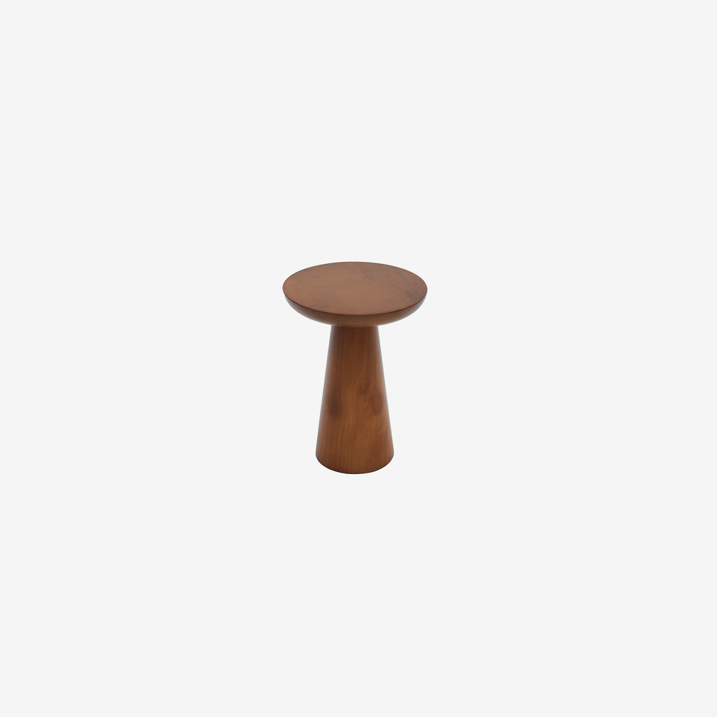 Mushroom 3 ceviz 02