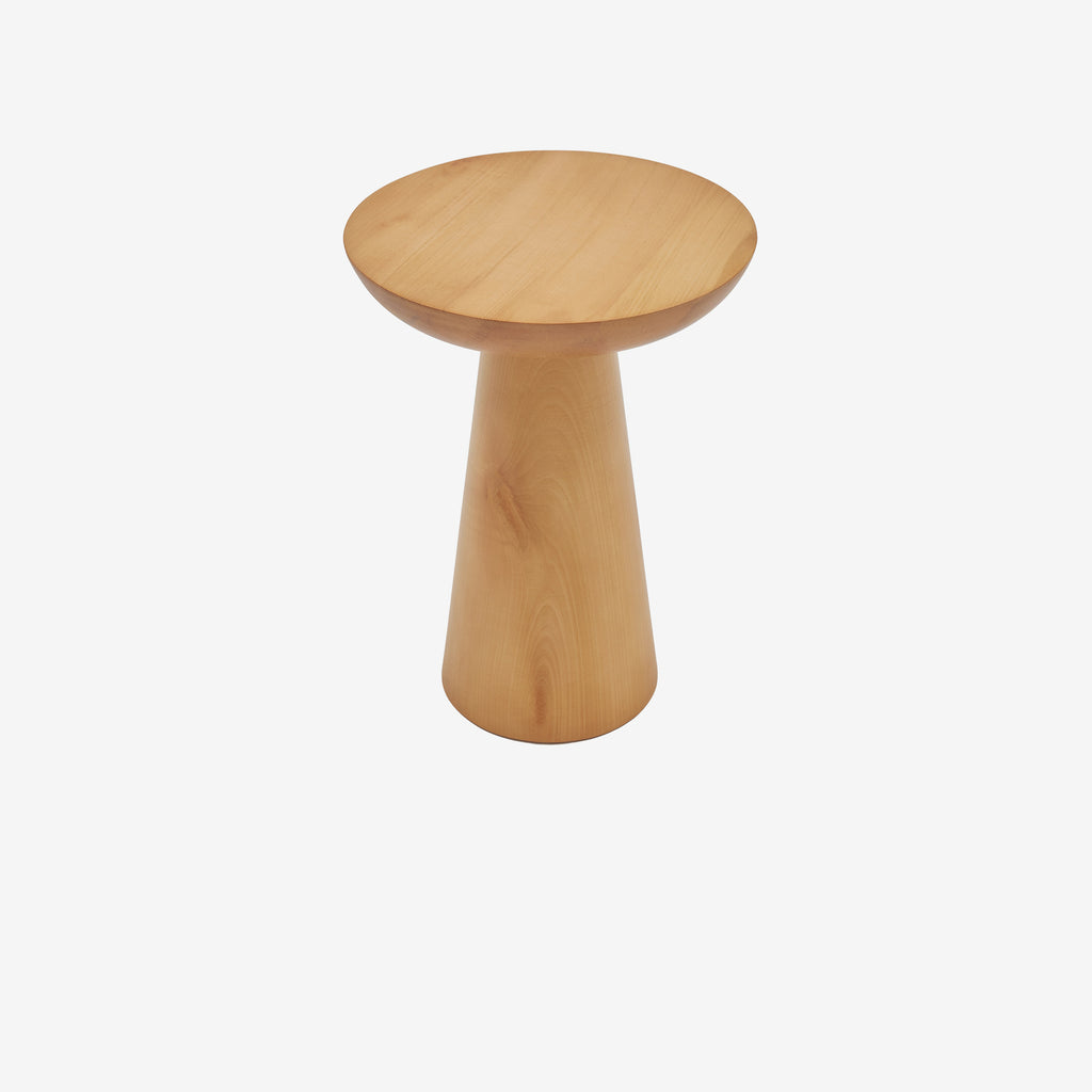 Mushroom 3 doğal 02