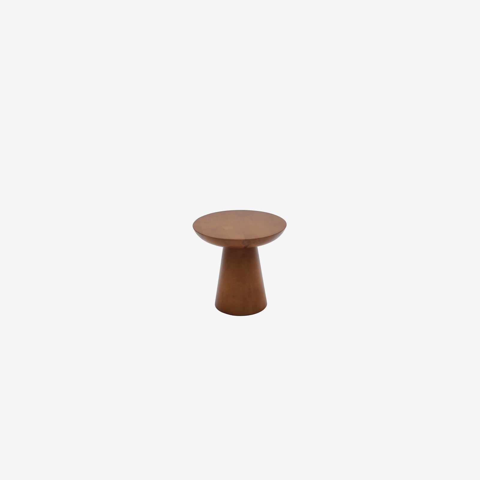 Mushroom 4 ceviz 02