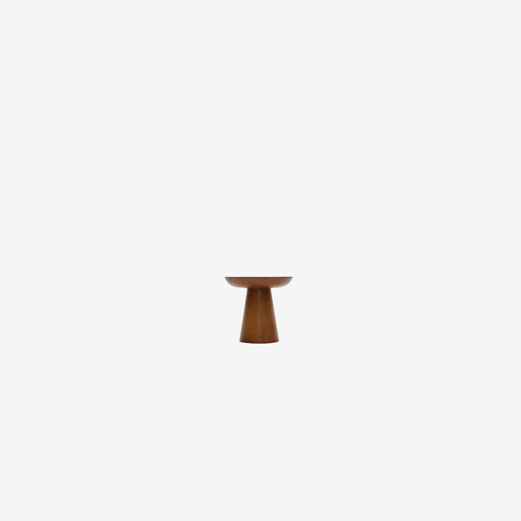 Mushroom 4 ceviz 03