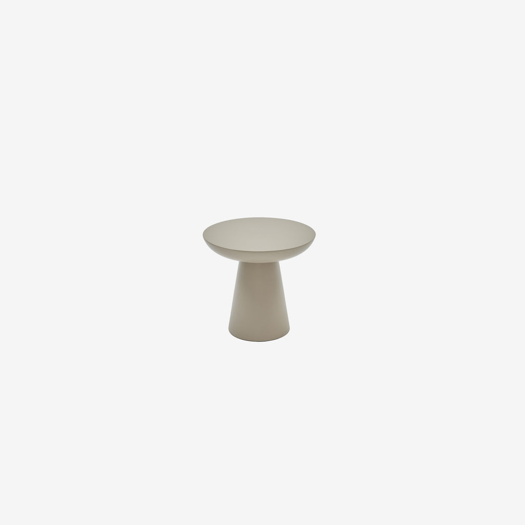 Mushroom 4 vizon 02